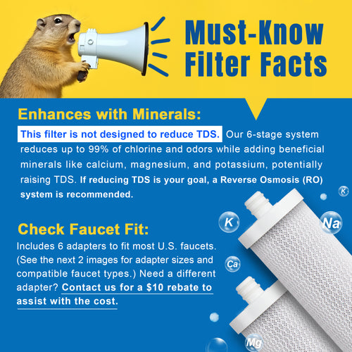 LCF PureFlow Countertop Water Filter System, LCF-CF-01