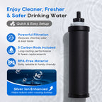 LCF Black Carbon Water Filter Replacement, Silver Ions Enhanced, Reduces Chlorine, Odor, Sediment & Common Contaminants