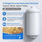 LCF Fluoride Water Filter Replacement, Targets Fluoride, Arsenic & Heavy Metals for LCF Gravity Systems