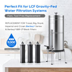 LCF Black Carbon Water Filter Replacement, Silver Ions Enhanced, Reduces Chlorine, Odor, Sediment & Common Contaminants