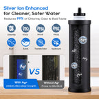 LCF Black Carbon Water Filter Replacement, Silver Ions Enhanced, Reduces Chlorine, Odor, Sediment & Common Contaminants