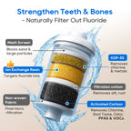 LCF Gravity Water Filter System, 3 Gallon Stainless Steel Countertop Water Purifier with 6 Filters, Stand & Water Level Spigot