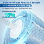 LCF-CFR-01 Replacement Filter Cartridge for LCF Countertop Water Filter, 6-Stage Silver Ions Enhanced, 2-Pack
