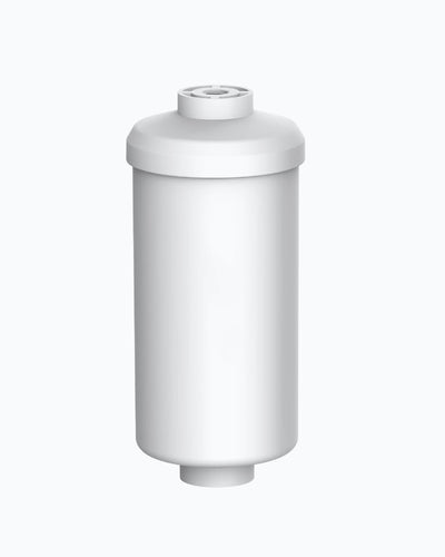 Fluoride Filter